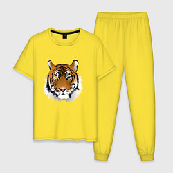 Пижама хлопковая мужская Тигр, цвет: желтый