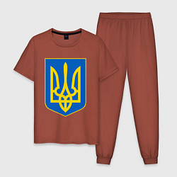 Пижама хлопковая мужская Украина Герб Украины, цвет: кирпичный
