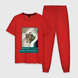 Пижама хлопковая мужская Шлёпа, цвет: красный