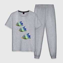 Пижама хлопковая мужская Рыба, цвет: меланж