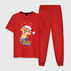 Пижама хлопковая мужская Тигрёнок в качестве подарка, цвет: красный