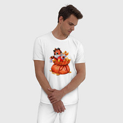 Пижама хлопковая мужская Денежный тигр символ 2022, цвет: белый — фото 2