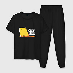 Пижама хлопковая мужская Кот Пофигист, цвет: черный
