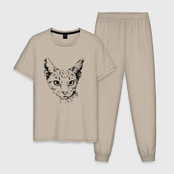 Пижама хлопковая мужская Clever cat, цвет: миндальный