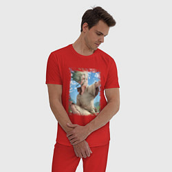 Пижама хлопковая мужская Радостный Сэнку, цвет: красный — фото 2