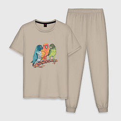 Пижама хлопковая мужская Три волнистых попугая на ветке, цвет: миндальный