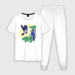 Пижама хлопковая мужская Птица Соика Птицы, цвет: белый