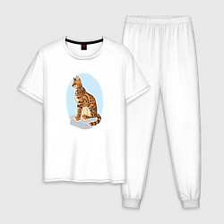 Пижама хлопковая мужская Саванна кошка Кошки, цвет: белый