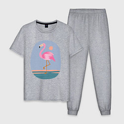 Пижама хлопковая мужская Фламинго, цвет: меланж