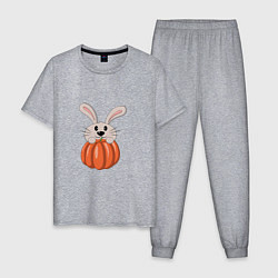Пижама хлопковая мужская Кролик с тыквой, цвет: меланж