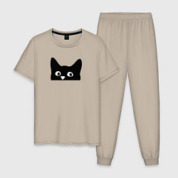 Пижама хлопковая мужская Морда выглядывающего кота, цвет: миндальный