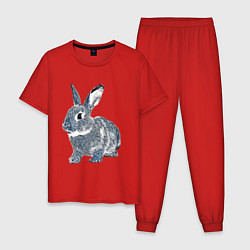 Пижама хлопковая мужская 2023 год - год голубого кролика, цвет: красный
