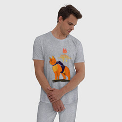 Пижама хлопковая мужская Stray - cat logo, цвет: меланж — фото 2
