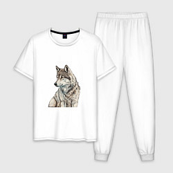 Пижама хлопковая мужская Серая волчица, цвет: белый