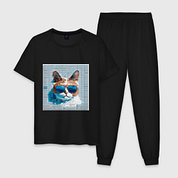 Пижама хлопковая мужская Цифровой кот в темных очках, цвет: черный
