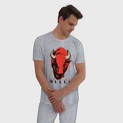 Пижама хлопковая мужская Chicago bull, цвет: меланж — фото 2