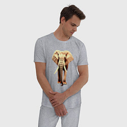 Пижама хлопковая мужская Стройный слон, цвет: меланж — фото 2