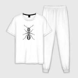 Мужская пижама Муравей гравюра