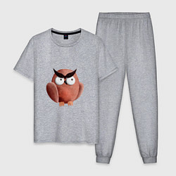 Пижама хлопковая мужская Сердитая сова с круглыми глазами, цвет: меланж