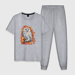 Пижама хлопковая мужская Осенняя сова, цвет: меланж