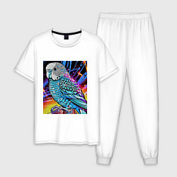 Пижама хлопковая мужская Волнистый синий попугай, цвет: белый