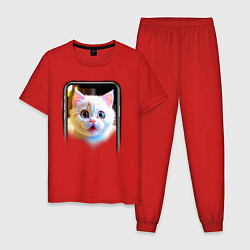Пижама хлопковая мужская Кот в смартфоне, цвет: красный
