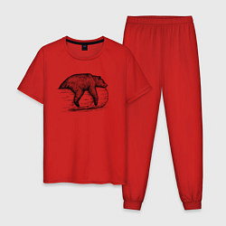 Пижама хлопковая мужская Медведь отдыхает на бревне, цвет: красный