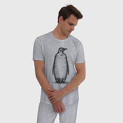Пижама хлопковая мужская Пингвин стоит, цвет: меланж — фото 2
