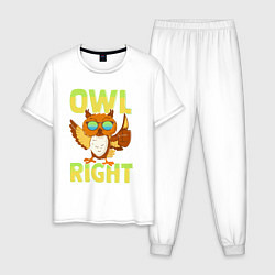 Мужская пижама Owl right - каламбур отлично