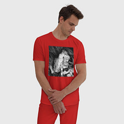 Пижама хлопковая мужская Ашаф ворон, цвет: красный — фото 2