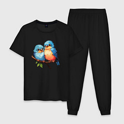 Пижама хлопковая мужская Разговор двух птичек, цвет: черный