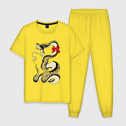 Мужская пижама Золотой удав