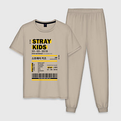 Мужская пижама Stray kids ticket