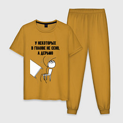 Мужская пижама В голове не сено
