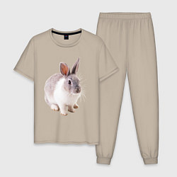 Пижама хлопковая мужская Кролик бело-серый, цвет: миндальный