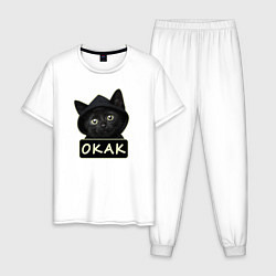 Пижама хлопковая мужская Кот в капюшоне, окак, мем, цвет: белый