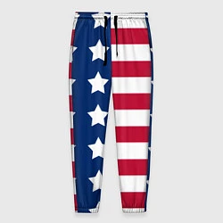 Мужские брюки USA Flag