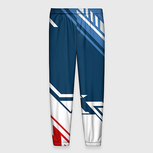 Мужские брюки BMW SPORT / 3D-принт – фото 2