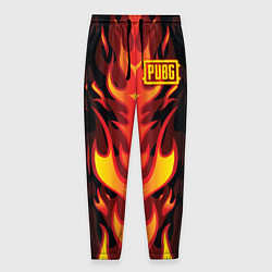 Мужские брюки PUBG: Hell Flame
