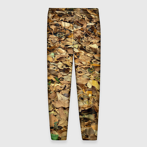 Мужские брюки Листья / 3D-принт – фото 2