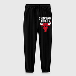 Мужские брюки CHICAGO BULLS