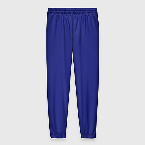 Мужские брюки Синий / 3D-принт – фото 2