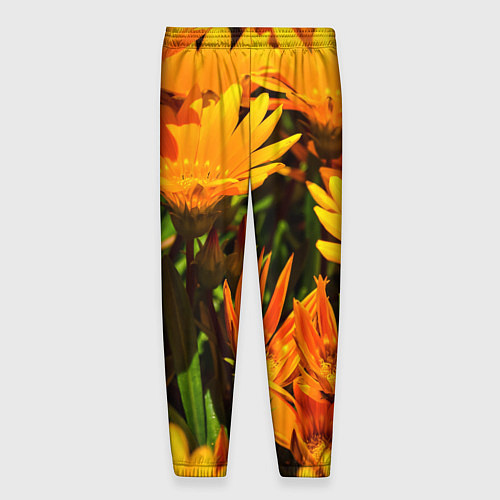 Мужские брюки Желтый цвет весны / 3D-принт – фото 2
