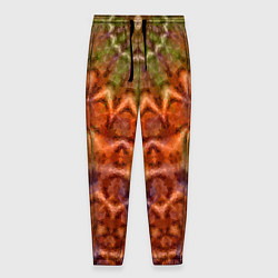 Мужские брюки Оранжево-оливковый калейдоскоп