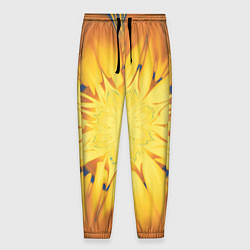 Мужские брюки Солнечный цветок Абстракция 535-332-32