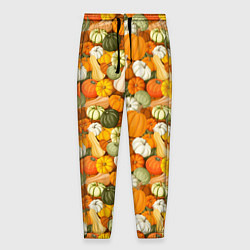 Мужские брюки Тыквы Pumpkin