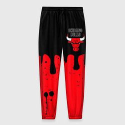 Мужские брюки Chicago Bulls Чикаго Буллз Логотип