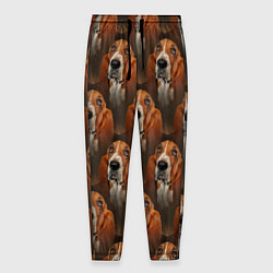Мужские брюки Dog patternt
