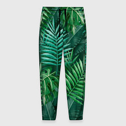 Мужские брюки Tropical plants pattern