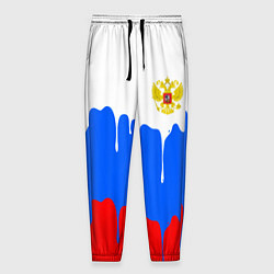 Мужские брюки Флаг герб russia